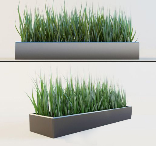 现代植物3d模型下载
