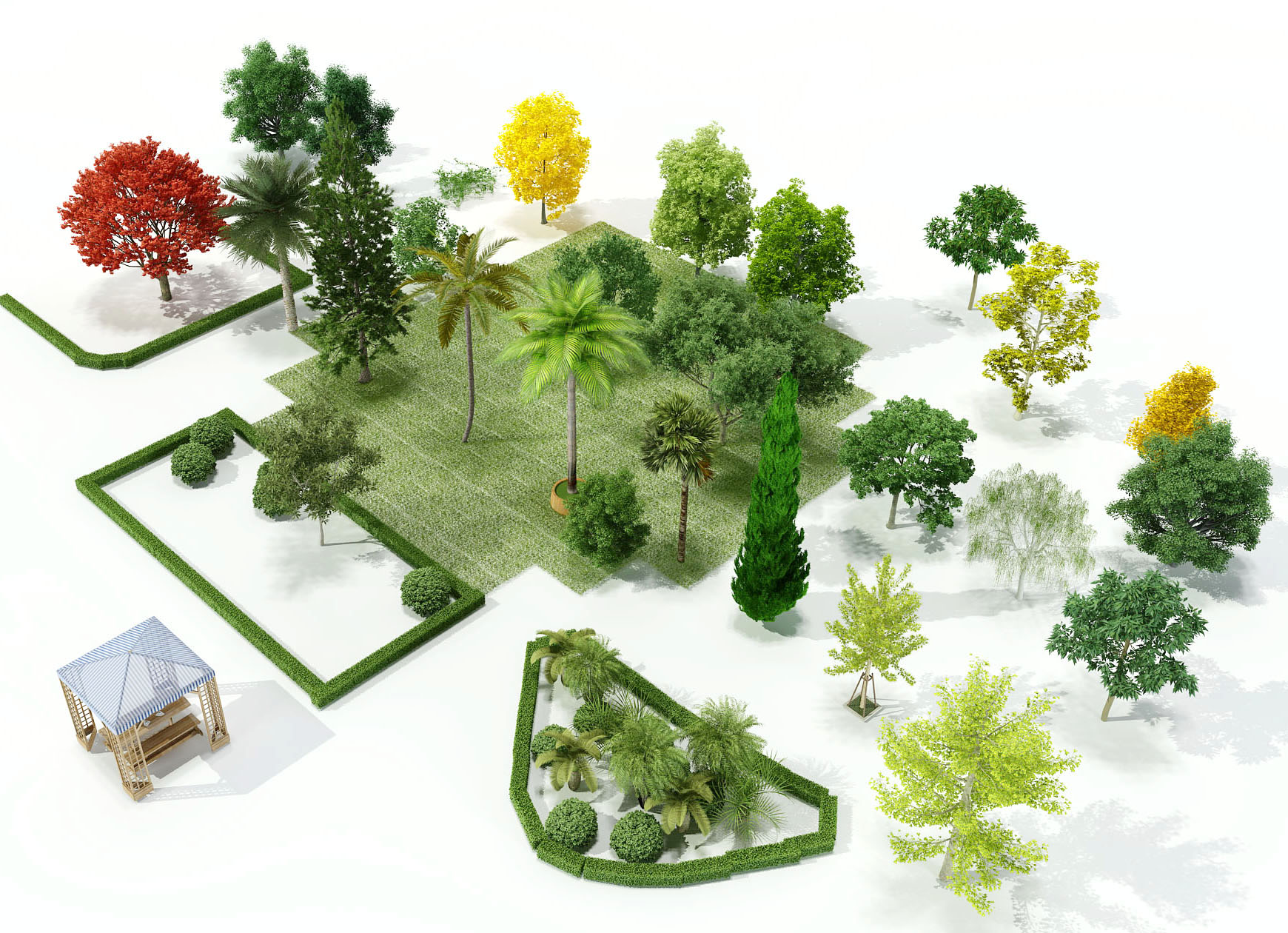 景观植物3d模型下载(1)
