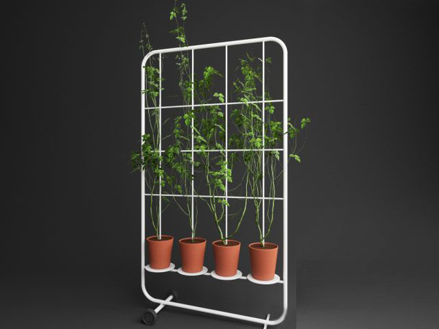 景观植物3d模型下载