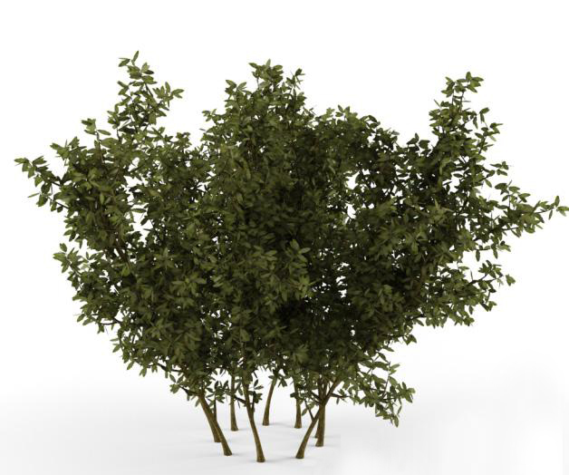 绿植树3D模型下载