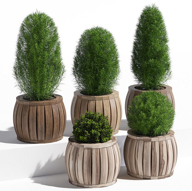 盆栽植物3D模型下载(1)