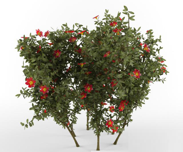 绿植树3D模型下载(1)