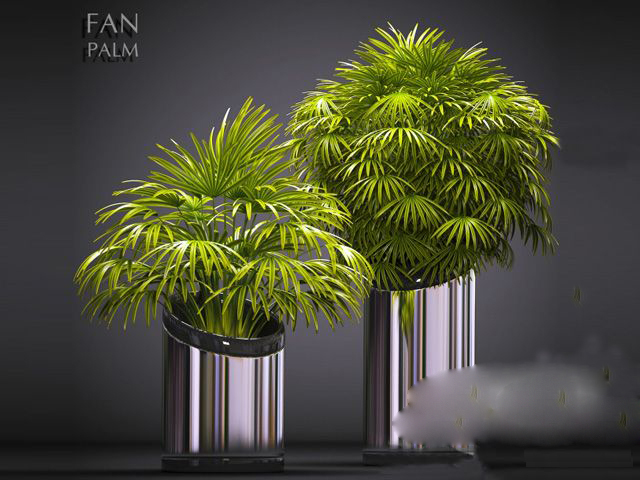 现代植物3d模型下载(1)