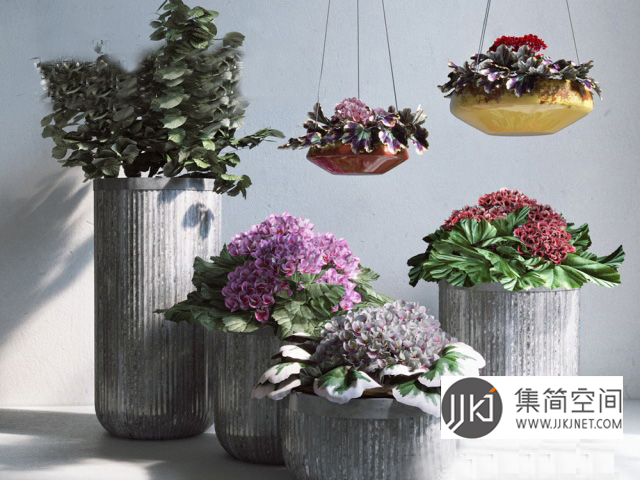 植物盆栽3d模型下载(1)