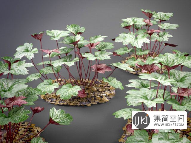 绿植3d模型下载(1)