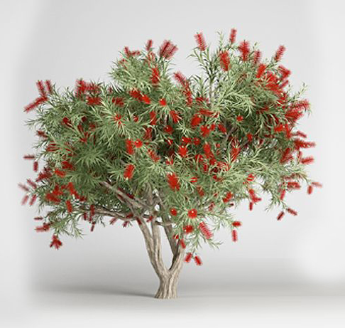 植物树3d模型下载