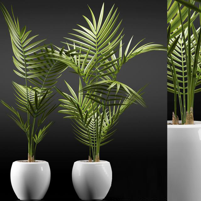 植物盆栽3d模型下载(1)