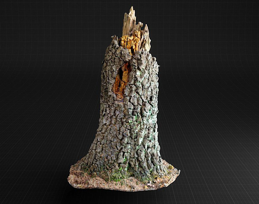 枯树3D模型下载