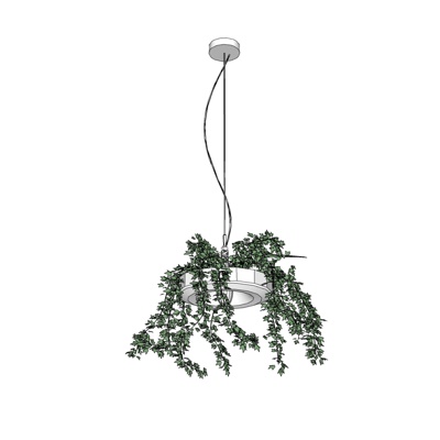 现代绿植吊灯免费su模型(1)