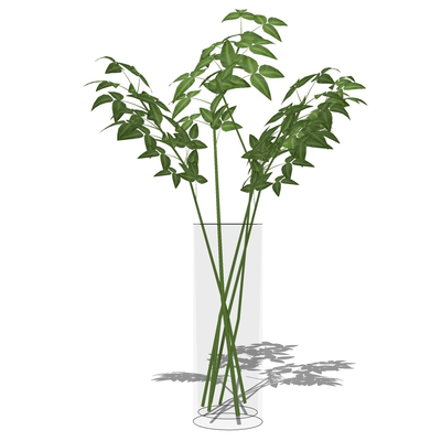 现代花瓶花卉免费su模型(1)
