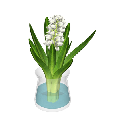现代花瓶花卉免费su模型(1)