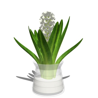现代花瓶花卉免费su模型(1)