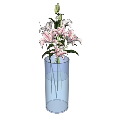 现代花卉花瓶免费su模型(1)