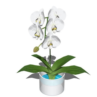 现代花卉花瓶免费su模型(1)
