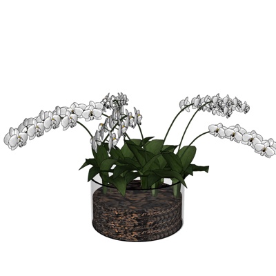 现代花卉花瓶免费su模型(1)