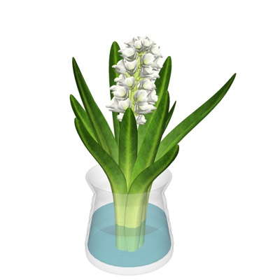 现代花卉花瓶免费su模型(1)