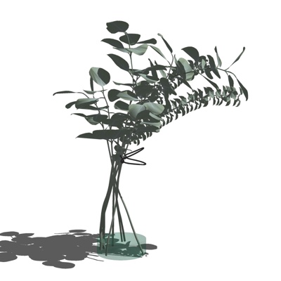 现代半透明花瓶花卉免费su模型(1)