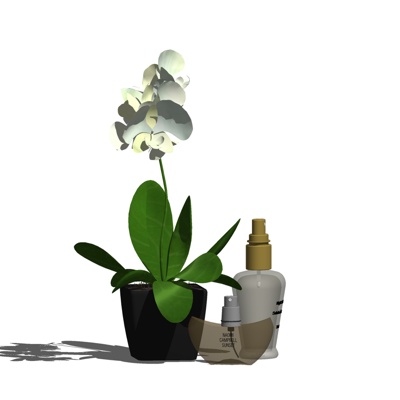 现代花卉洗手液摆件免费su模型(1)