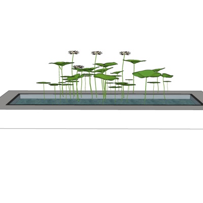 现代荷花水池小品免费su模型(1)