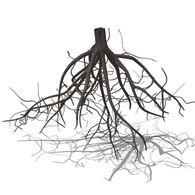自然风树根免费su模型(1)