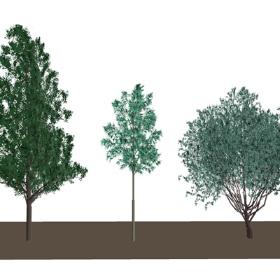现代绿植免费su模型(1)