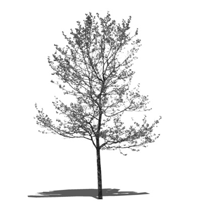 现代绿植免费su模型(1)