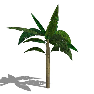 现代芭蕉树免费su模型(1)