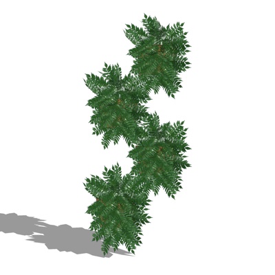 现代绿植花草免费su模型(1)