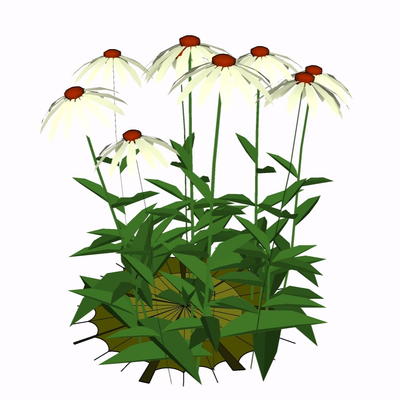 现代花草植物免费su模型(1)