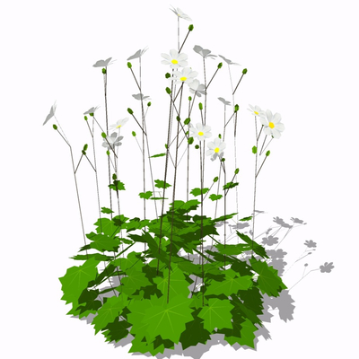 现代绿植花草免费su模型(1)