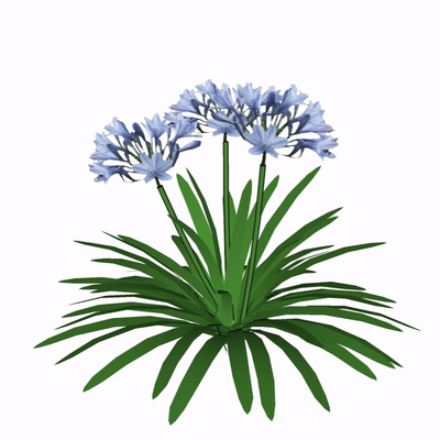 现代花草植物免费su模型(1)