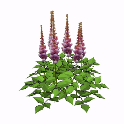 现代花草植物免费su模型(1)