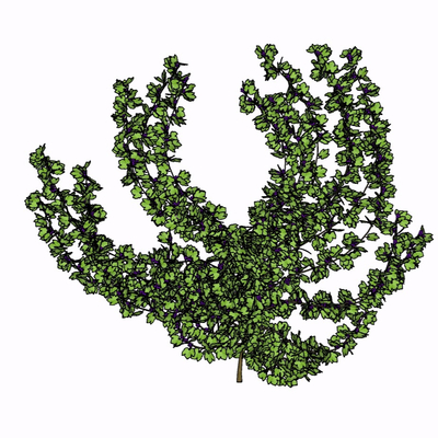 现代绿植花草免费su模型(1)