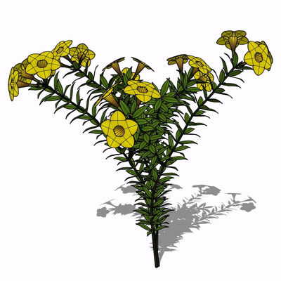 现代花草植物免费su模型(1)