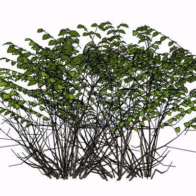 现代绿植免费su模型(1)