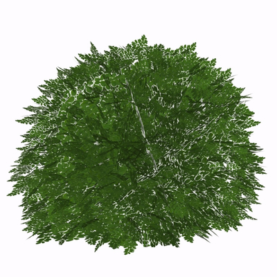 现代绿植免费su模型(1)