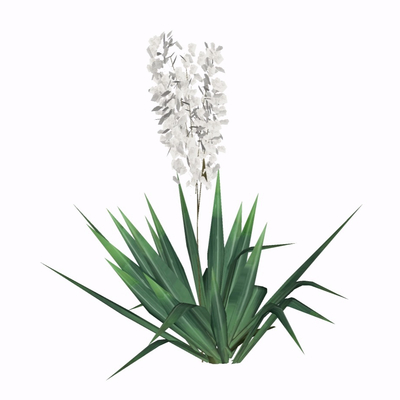 现代花草植物免费su模型(1)