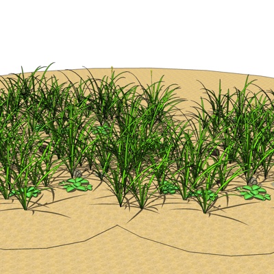 现代绿植花草免费su模型