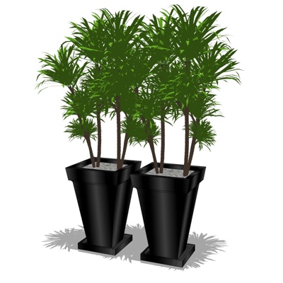 现代绿植盆栽免费su模型(1)