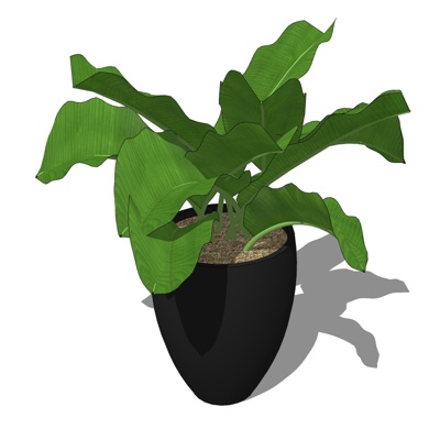 现代绿植盆栽免费su模型(1)