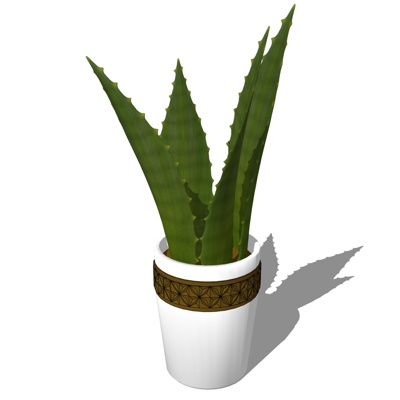 现代绿植盆栽免费su模型(1)