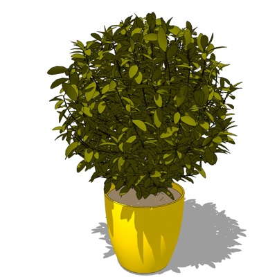 现代绿植盆栽免费su模型(1)