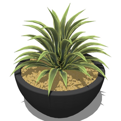 现代绿植盆栽免费su模型(1)