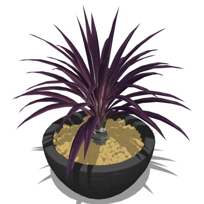 现代绿植盆栽免费su模型(1)