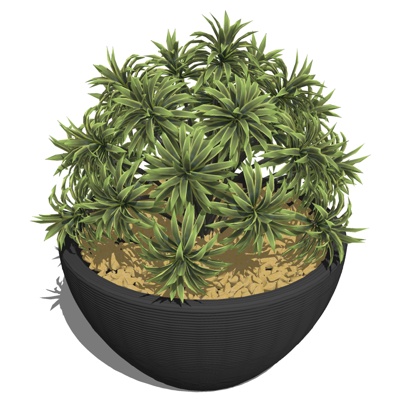 现代绿植盆栽免费su模型(1)