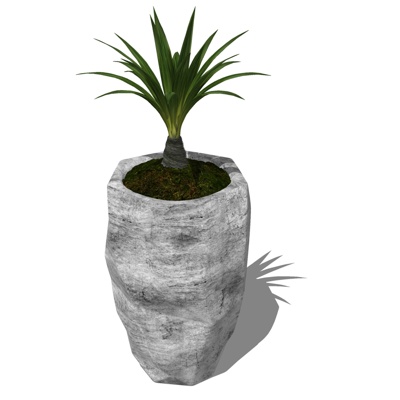 现代绿植盆栽免费su模型(1)