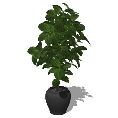 现代绿植盆栽免费su模型(1)