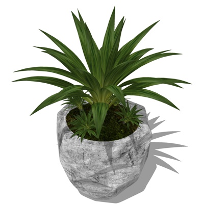 现代绿植盆栽免费su模型(1)