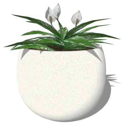 现代绿植盆栽免费su模型(1)