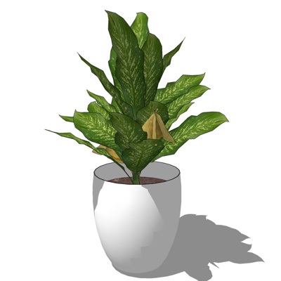 现代绿植盆栽免费su模型(1)
